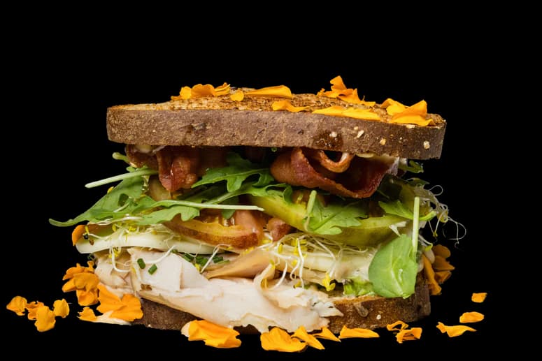 Turkey sandwich with bacon, tomato, lettuce, and chipotle aioli